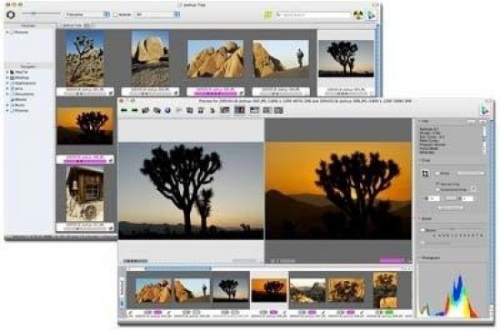 Photo Mechanic 6.0.6496 Crack With Activation Code 2022